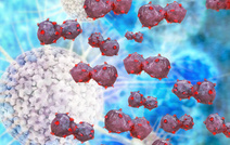 Рак легких — самоуничтожение злокачественных клеток