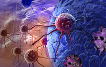 Израильские ученые открыли механизм выживания раковых клеток