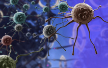 Бактерии в раковых опухолях могут снижать эффективность химиотерапии