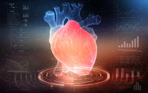 Впервые в мире: живое сердце напечатано на принтере