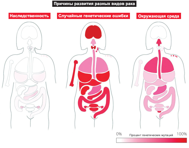 Причины развития рака